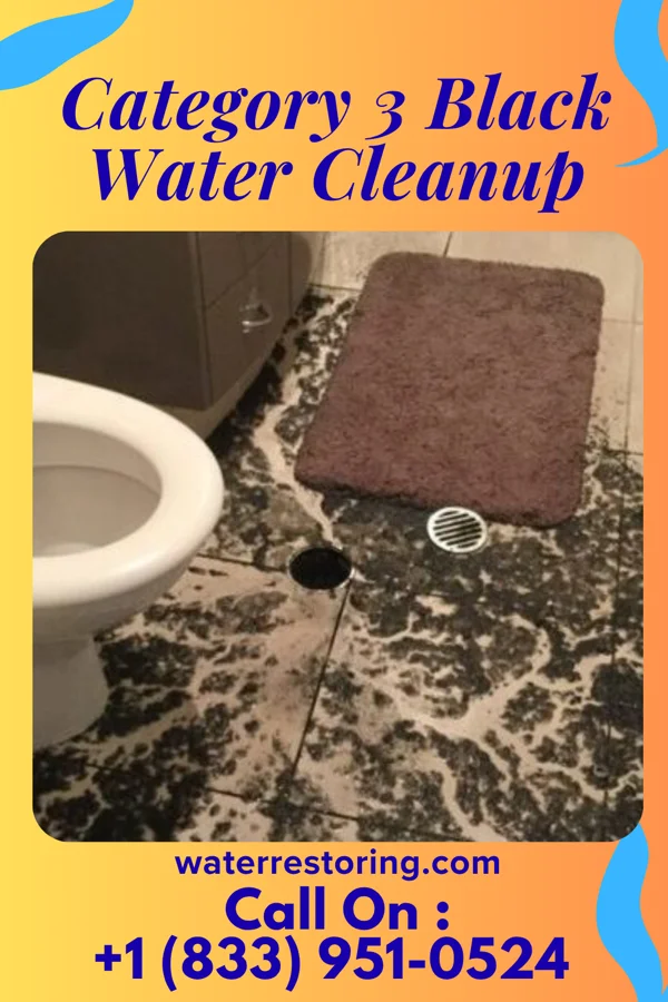 Category 3 Black Water Cleanup in Wausau, WI