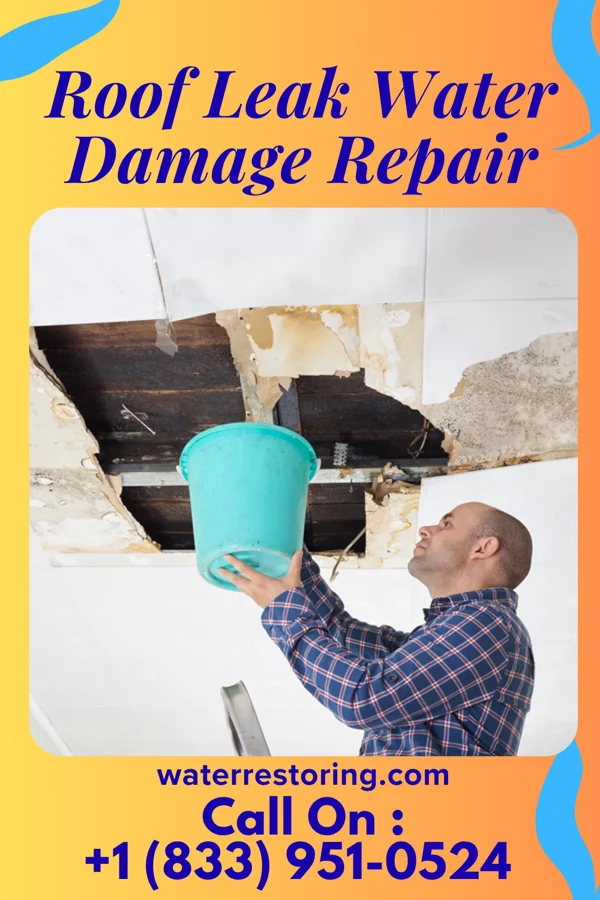 Roof Leak Water Damage Repair in Wausau, WI